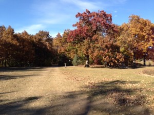 IMG_0089         