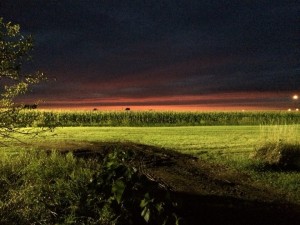 IMG_1740         