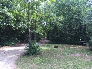 IMG_2951                           