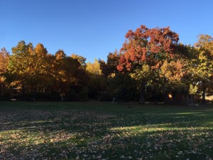 IMG_3328          