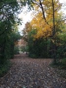 IMG_3342                        
