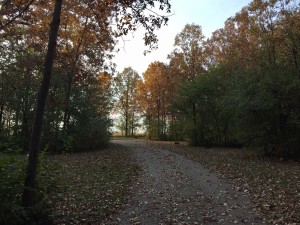 IMG_3344                      